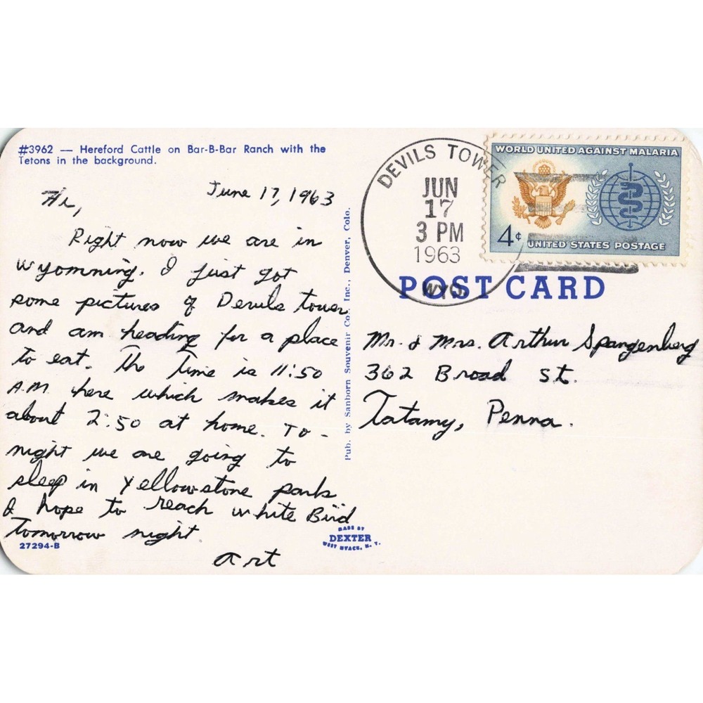 Grand Tetons Wyoming WY Hereford Cattle Bar-B-Bar Ranch Chrome Postcard 1963 - Picture 2 of 2